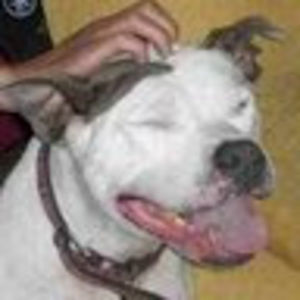 Meet your Posher, Alison